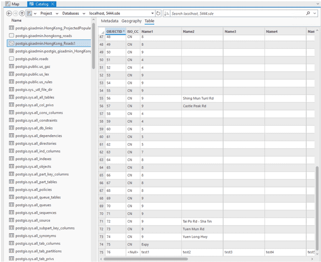 EsriArcGISProDataChangeTest2