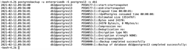 DatabaseLevelBackup